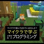 マイクラで学ぶプログラミング